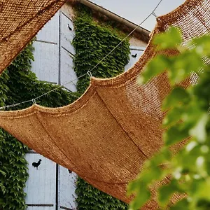 Hotel Coq
